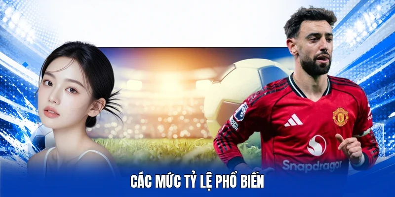 Các mức tỷ lệ phổ biến