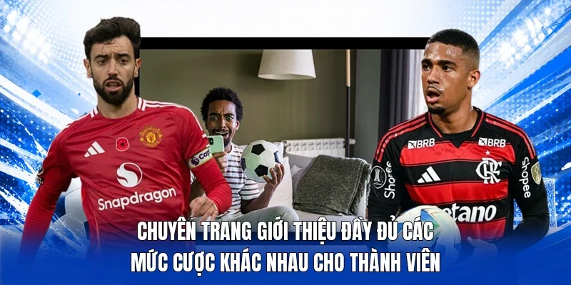 Chuyên trang giới thiệu đầy đủ các mức cược khác nhau cho thành viên