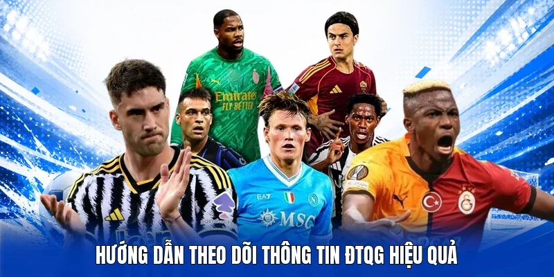 Hướng dẫn theo dõi thông tin ĐTQG hiệu quả