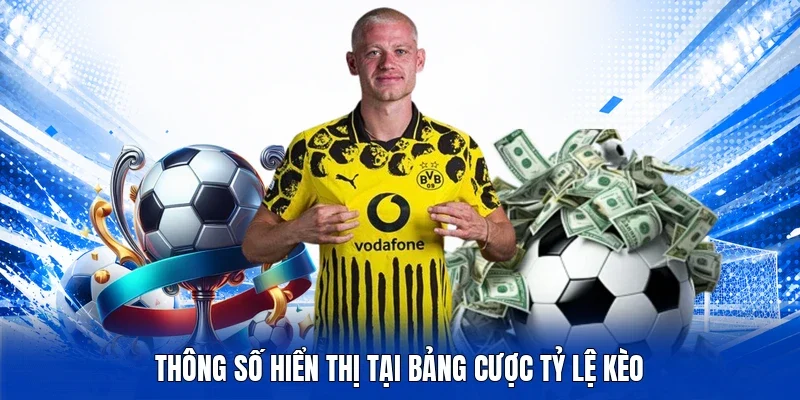 Thông số hiển thị tại bảng cược Tỷ Lệ Kèo